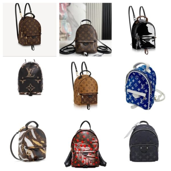 Louis Vuitton Palm Springs collection: a multifunctional luxury backpack model