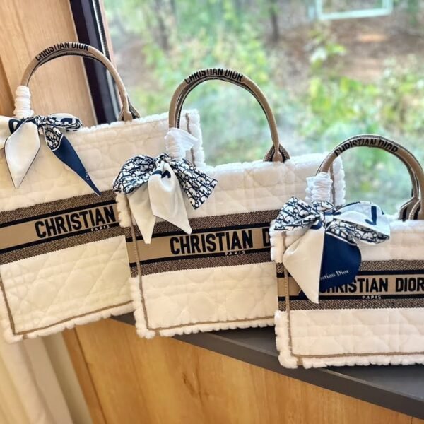 Dior embroidery tote bag size: 20cm/35cm/41cm