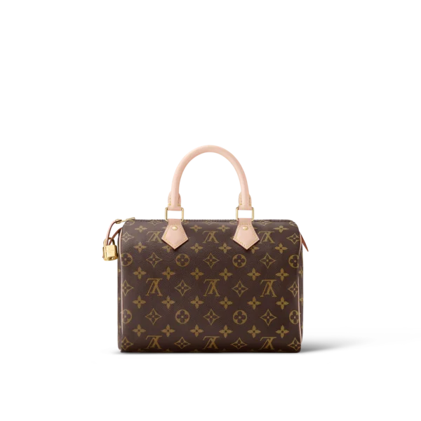 Louis Vuitton / LV Speedy 25 M41109