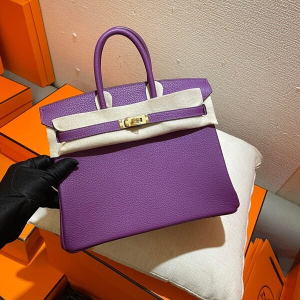 Birkin 25 Togo