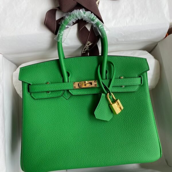 Birkin 25 Togo